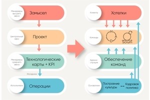 Управление по ценностям: практическая модель для HR