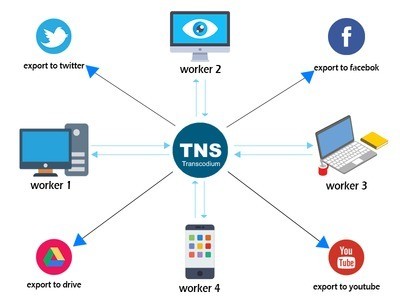 Трансцодиум (Transcodium) Лтд.